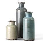 CwlwGO Lot de 3 vases en céramique - Petit Vase pour décoration de Maison de Campagne - Décoration Moderne de Salon de Ferme - Décoration de Table de Noël, bibliothèque, cheminée et décoration