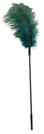 Plume pour Picotement Turquoise Bdsm Ou Accessoire Déguisement Serveuse Sexy