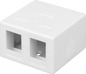 Techly 366310 Ytmonterat Skåp För 2 Keystone-Moduler Rj45 Eller Rj11/12