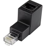 Adaptateur réseau Informatique RJ45 Renkforce Cat 5e [1x RJ45 mâle - 1x RJ45 Femelle] Coudé vers Le Bas à 90° 0.00 m no