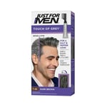 Just for Men Touch Of Grey - Dark Brown T45