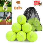 24x Tennis Balls Good Quality Sports Outdoor Fun Cricket Beach Dog Ball Game