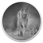 2 x Vinyl Stickers 10cm (bw) - Caracal African Lynx Cat  #38978