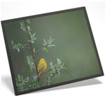 Placemat Mousemat 8x10  - Little Yellow Bird Tree Rain Nature  #45583