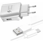 Pack Chargeur + Câble pour Samsung Galaxy S21 FE SD888 Fast Charger Ultra-puissant et rapide 3A avec CABLE USB-Type C