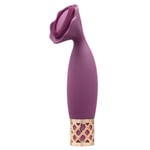 BMS Pillow Talk Rechargeable Waterproof Bullet Mini Vibrator/Vibe