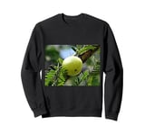 Really Like Amla Fruit Indian Gooseberry Sweatshirt