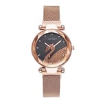 Basfur Dress Watch Fe-Montre-066-05