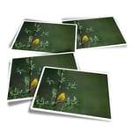 4x Rectangle Stickers - Little Yellow Bird Tree Rain Nature #45583