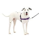 PetSafe Harnais pour chien Easy Walk