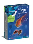 Clementoni- Galileo Science Triops Kit de Recharge pour cultiver et Observer Les crustacés préhistoriques Jouet pour Enfants à partir de 8 Ans Biologie à Toucher pour Petits chercheurs, 69935