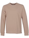 Colorful Standard Organic Cotton Crew Sweat - Desert Khaki Colour: Desert Khaki, Size: X Large