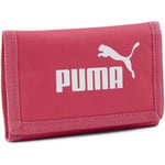 Portefeuille Puma  Phase