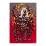 Grupo Erik - Poster The Witcher 2 Geralt De Riv - Deco Maison, Decoration Murale, Affiche Décorative