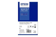 Epson SureLab Pro-S Luster - papper - lyster - 2 rulle (rullar) - Rulle (15,2 cm x 65 m) - 248 g/m²