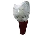 Linxor - Lot de 5 housses de protection pour plantes - 0.8 x 1 m - 30g/m2 - Blanc