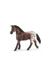 Schleich Figurines animaux Jument appaloosa