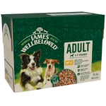 James Wellbeloved Adult Dog Food with Lamb and Chicken in Gravy Pouch 12 x 90 g