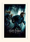 Pyramid International Harry Potter (Deathly Hallows Part 1) -Mounted Print Memorabilia 30 x 40cm, Paper, Multicoloured, 30 x 40 x 1.3 cm