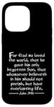 iPhone 14 Pro Max John 3:16 Whole Verse King James Bible For God So Loved KJV Case