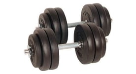 Lot de 2 halteres courts poids 30 kg  2 x 15 kg  avec disques set musculation fitness biceps