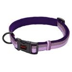 Collier Confortable HALTI - Un Collier pour Chien Rembourré en Néoprène Doux pour Toutes les Races – Réglable et Réfléchissant. Nombreuses Couleurs pour petits Chiens et Chiots (Taille XS, Violet)