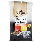 Sheba Délices du Jour Nourriture Humide pour Chat, saveur Viande, Multipack (Lot de 12 x 6 sachets x 50 g)