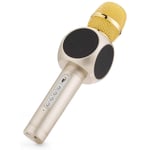 RCTOYS Wireless Bluetooth Karaoke Microphone, 3-in-1 Portable Karaoke System with Two built-in speakers for Home KTV, Outdoor and Birthday Party. Work with Apple iPhone Android Smartphone or PC,Gold