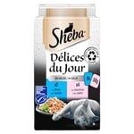 Sheba Délices du Jour en Gelée Poisson pour Chat 6 x 50 g - Lot de 12