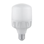 Ampoule À LED Idéale Pour Extérieur Série T AsterLed 18W E27 6000K Blanc Froid