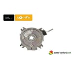 Dispositif antichute 5 m pour moteur de porte enroulable 95Nm SOMFY - 1782098.