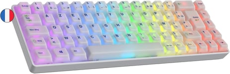 65% | Rapid Trigger Technologie | Clavier Gaming Mécanique Magnétique | 69 Touches RGB LED pour PC/Mac Gamer | Clavier Français & Belge (AZERTY) (Pom Dye Sub,Clear Switch)