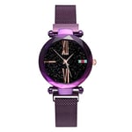 Basfur Dress Watch Fe-Montre-007-02