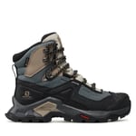 Trekking-skor Salomon Quest Element Gtx W GORE-TEX 414574 20 V0 Flerfärgad