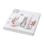 Stow Green Peter Rabbit Classic Paper Napkin  (Set of 20) 3-Ply - 33cmx33cm