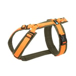 Anny-X Fun Hundsele - Olive/Orange L