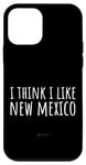 iPhone 12 mini I Think I Like New Mexico – Funny American State Humor Case