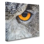 Eye of an Owl Painting Modern Canvas Wall Art Print Ready to Hang, Framed Picture for Living Room Bedroom Home Office Décor, 20x20 Inch (50x50 cm)