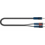 RKSA150-2 Cable Minijack Stereo - 2 X RCA 2 M