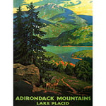 Wee Blue Coo Travel Tourism Adirondack Mountains Lake Placid USA Tree Canvas Print