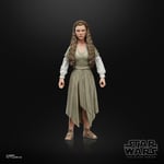 Hasbro Star Wars The Black Series Princess Leia Organa Ewok Village