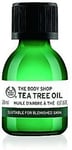 Premium Tea Tree Oil 20ml Tea Tree Oil 20ml Ingredients Tea Tree High Quality