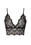 Understatement Lace Bralette Top Svart