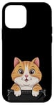 Coque pour iPhone 12 mini Chat orange amusant dans la poche animal mignon femme homme