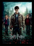 Harry Potter - Deathly Hallows Part 2 - Official 30 x 40cm Framed Print Wall Art