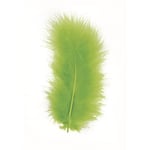 Rayher Lot de 10 Plumes décoratives 8 cm 11 Vert Clair