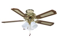 Fantasia Belaire 42in Ceiling Fan Brass Light