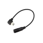 3.5mm Mikrofon Adapter Kabel för GoPro Hero