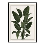 Poster Gallerix Strelitzia