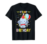 Its My Birthday Elephant T-Shirt